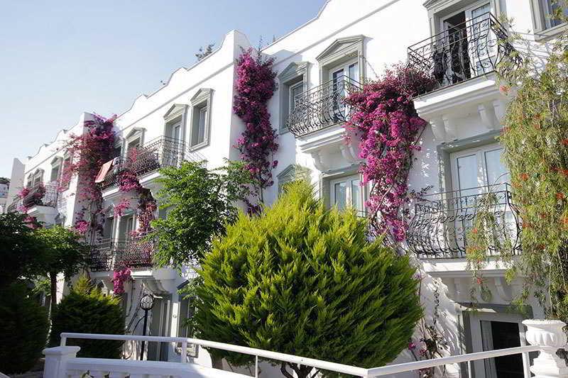 Maison 48 Apart Hotel Gümbet Εξωτερικό φωτογραφία